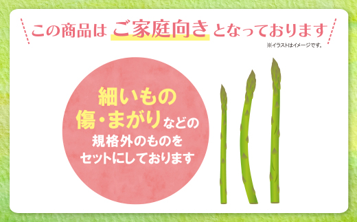 【訳あり】清流・自然栽培 アスパラガス(春芽) 1kg 