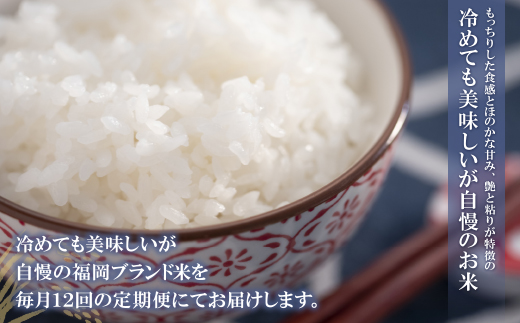 研ぐお米 福岡県産・元気つくし10kg定期便(毎月・年12回)