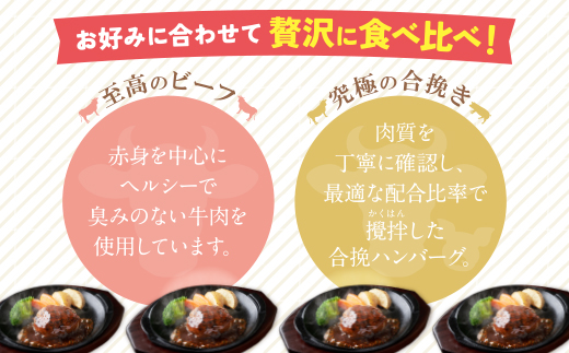 【累計460万個突破！】どっちの ハンバーグ !?デミグラスソース150g×20個セット（ビーフ・合挽 各10個） ハンバーグ 牛肉 豚肉 洋食 ハンバーグ はんばーぐ 大容量 冷凍 人気 ハンバーグ デミソース 手軽 冷凍 3kg おかず 肉 おすすめ ハンバーグ お得 ハンバーグステーキ 味付ハンバーグ