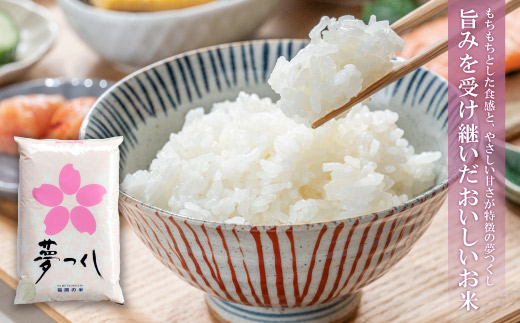 遐斐$縺顔アウ 遖丞イ。繝悶Λ繝ウ繝臥アウ3蜩∫ィョ繧サ繝繝(蜷2kg) 邊セ邀ウ 邀ウ 繧ウ繝。 2kgテ3 蟆剰「 蟆丞縺 遐斐$縺顔アウ 6kg 邂ア蜈・繧 遖丞イ。 螟「縺、縺上@ 縺イ縺ョ縺イ縺九j 蜈豌励▽縺上@ 蜈豌励▼縺上@ 縺願」セ蛻縺 繧サ繝繝 謇玖サス 繝ェ繝斐シ繝 譌・譎よ欠螳 繧ョ繝輔ヨ 縺贋クュ蜈 縺頑ュウ證ョ