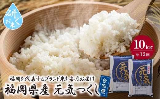 研ぐお米 福岡県産・元気つくし10kg定期便(毎月・年12回)