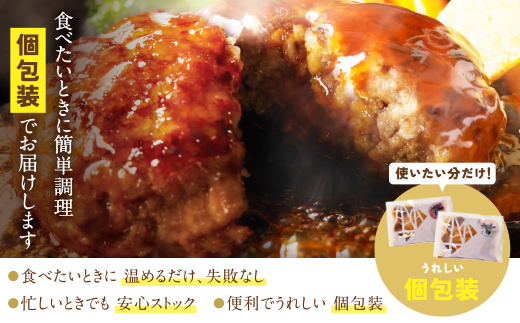 【累計460万個突破！】どっちの ハンバーグ !?デミグラスソース150g×20個セット（ビーフ・合挽 各10個） ハンバーグ 牛肉 豚肉 洋食 ハンバーグ はんばーぐ 大容量 冷凍 人気 ハンバーグ デミソース 手軽 冷凍 3kg おかず 肉 おすすめ ハンバーグ お得 ハンバーグステーキ 味付ハンバーグ