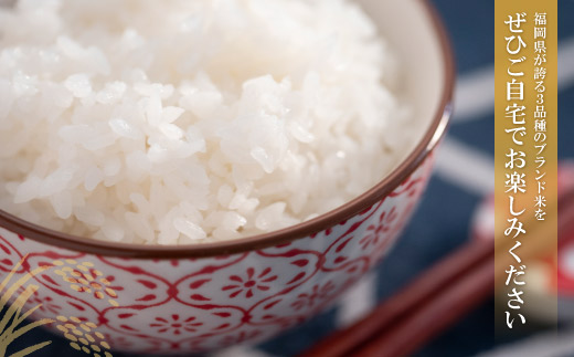 遐斐$縺顔アウ 遖丞イ。繝悶Λ繝ウ繝臥アウ3蜩∫ィョ繧サ繝繝(蜷2kg) 邊セ邀ウ 邀ウ 繧ウ繝。 2kgテ3 蟆剰「 蟆丞縺 遐斐$縺顔アウ 6kg 邂ア蜈・繧 遖丞イ。 螟「縺、縺上@ 縺イ縺ョ縺イ縺九j 蜈豌励▽縺上@ 蜈豌励▼縺上@ 縺願」セ蛻縺 繧サ繝繝 謇玖サス 繝ェ繝斐シ繝 譌・譎よ欠螳 繧ョ繝輔ヨ 縺贋クュ蜈 縺頑ュウ證ョ