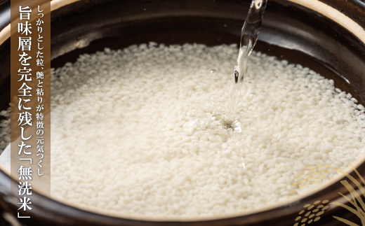 辟。豢礼アウ 遖丞イ。繝悶Λ繝ウ繝臥アウ3蜩∫ィョ繧サ繝繝(蜷5kg) 辟。豢礼アウ 繧縺帙s縺セ縺 邀ウ 繧ウ繝。 5kgテ3 蜩∫ィョ 縺繧阪>繧 3遞ョ 繧ュ繝」繝ウ繝 遐斐′縺ェ縺上※縺縺 TWR 15kg 邂ア蜈・繧 謇矩俣縺ェ縺 繧ォ繝ウ繧ソ繝ウ 邁。蜊 遖丞イ。 螟「縺、縺上@ 縺イ縺ョ縺イ縺九j 蜈豌励▽縺上@ 蜈豌励▼縺上@ 縺願」セ蛻縺 繧サ繝繝 謇玖サス 繝ェ繝斐シ繝 譌・譎よ欠螳 繧ョ繝輔ヨ 縺贋クュ蜈 縺頑ュウ證ョ 謇九↓繧縺輔@縺 譎ら洒 繧ウ繧ケ繝