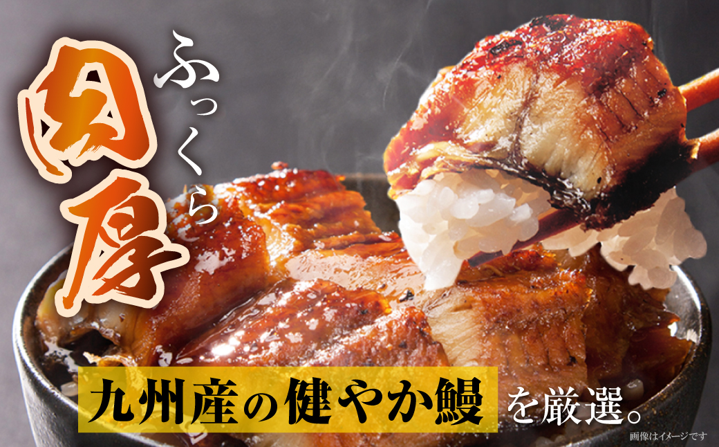 健やか鰻 国産うなぎ蒲焼（無頭）6尾（計930g以上）