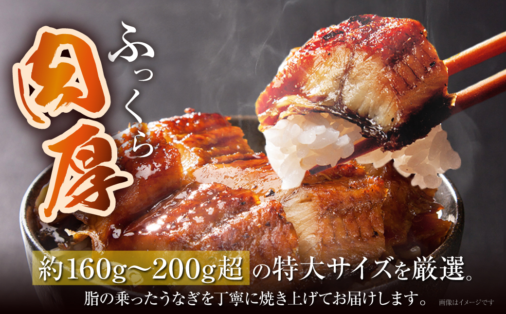 累計販売数229,673件突破 国産うなぎ蒲焼特大サイズ4尾（計800g以上）鰻蒲焼用タレ・山椒付 うなぎ生産量日本一鹿児島県産・宮崎県産・熊本県産