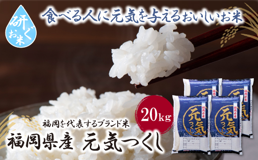令和7年産 研ぐお米 元気つくし20kg  米 コメ 20kg 箱入り 5kg×4 福岡 20キロ 元気つくし 元気づくし 手軽 リピート 日時指定 ギフト お中元 お歳暮 コスパ 福岡県限定銘柄 人気上昇中 研ぐお米