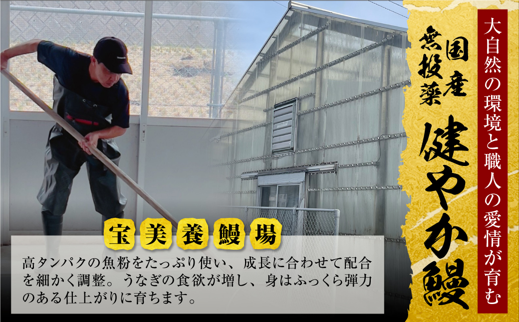 縲2026蟷エ 荳代ョ譌・ 蜈郁。御コ育エ縲大▼繧縺矩ーサ 蝗ス逕」縺縺ェ縺手調辟シシ育┌鬆ュシ2蟆セシ郁ィ310g莉・荳奇シ