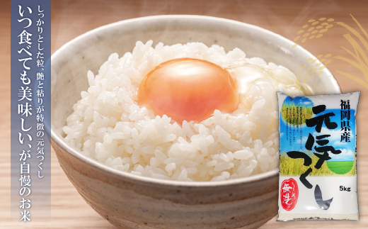 辟。豢礼アウ 遖丞イ。繝悶Λ繝ウ繝臥アウ3蜩∫ィョ繧サ繝繝(蜷5kg) 辟。豢礼アウ 繧縺帙s縺セ縺 邀ウ 繧ウ繝。 5kgテ3 蜩∫ィョ 縺繧阪>繧 3遞ョ 繧ュ繝」繝ウ繝 遐斐′縺ェ縺上※縺縺 TWR 15kg 邂ア蜈・繧 謇矩俣縺ェ縺 繧ォ繝ウ繧ソ繝ウ 邁。蜊 遖丞イ。 螟「縺、縺上@ 縺イ縺ョ縺イ縺九j 蜈豌励▽縺上@ 蜈豌励▼縺上@ 縺願」セ蛻縺 繧サ繝繝 謇玖サス 繝ェ繝斐シ繝 譌・譎よ欠螳 繧ョ繝輔ヨ 縺贋クュ蜈 縺頑ュウ證ョ 謇九↓繧縺輔@縺 譎ら洒 繧ウ繧ケ繝