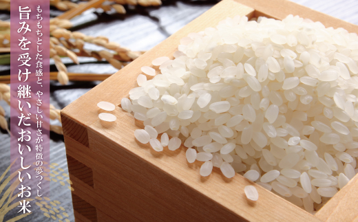 【新米】令和7年産 研ぐお米 夢つくし10kg 米 コメ 10kg 箱入り 5kg×2 夢つくし 10キロ 福岡 夢つくし ゆめつくし 手軽 リピート 日時指定 ギフト お中元 お歳暮 コスパ 福岡県限定銘柄 人気 研ぐお米