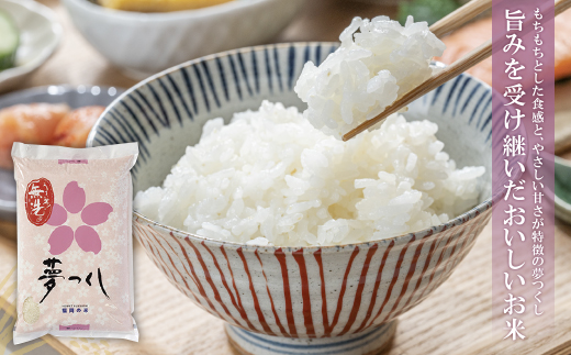 辟。豢礼アウ 遖丞イ。繝悶Λ繝ウ繝臥アウ3蜩∫ィョ繧サ繝繝(蜷5kg) 辟。豢礼アウ 繧縺帙s縺セ縺 邀ウ 繧ウ繝。 5kgテ3 蜩∫ィョ 縺繧阪>繧 3遞ョ 繧ュ繝」繝ウ繝 遐斐′縺ェ縺上※縺縺 TWR 15kg 邂ア蜈・繧 謇矩俣縺ェ縺 繧ォ繝ウ繧ソ繝ウ 邁。蜊 遖丞イ。 螟「縺、縺上@ 縺イ縺ョ縺イ縺九j 蜈豌励▽縺上@ 蜈豌励▼縺上@ 縺願」セ蛻縺 繧サ繝繝 謇玖サス 繝ェ繝斐シ繝 譌・譎よ欠螳 繧ョ繝輔ヨ 縺贋クュ蜈 縺頑ュウ證ョ 謇九↓繧縺輔@縺 譎ら洒 繧ウ繧ケ繝