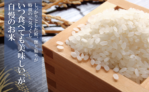 辟。豢礼アウ 遖丞イ。逵檎肇繝サ蜈豌励▽縺上@10kg螳壽悄萓ソ(豈取怦繝サ蟷エ12蝗)