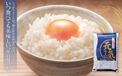 遐斐$縺顔アウ 遖丞イ。繝悶Λ繝ウ繝臥アウ3蜩∫ィョ繧サ繝繝(蜷2kg) 邊セ邀ウ 邀ウ 繧ウ繝。 2kgテ3 蟆剰「 蟆丞縺 遐斐$縺顔アウ 6kg 邂ア蜈・繧 遖丞イ。 螟「縺、縺上@ 縺イ縺ョ縺イ縺九j 蜈豌励▽縺上@ 蜈豌励▼縺上@ 縺願」セ蛻縺 繧サ繝繝 謇玖サス 繝ェ繝斐シ繝 譌・譎よ欠螳 繧ョ繝輔ヨ 縺贋クュ蜈 縺頑ュウ證ョ