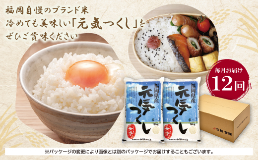 辟。豢礼アウ 遖丞イ。逵檎肇繝サ蜈豌励▽縺上@10kg螳壽悄萓ソ(豈取怦繝サ蟷エ12蝗)