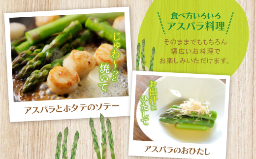 【訳あり】清流・自然栽培 アスパラガス(春芽) 1kg 