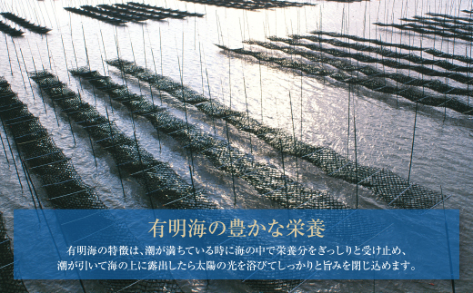 縲占ィウ縺ゅj縲醍ヲ丞イ。譛画弱ョ繧 辟シ縺肴オキ闍 2蛻8譫堙13陲