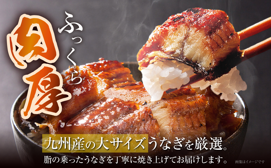 【2026年 丑の日 先行予約】 国産うなぎ蒲焼大サイズ2尾（計330g以上）鰻蒲焼用タレ・山椒付 うなぎ生産量日本一鹿児島県産・宮崎県産・熊本県産