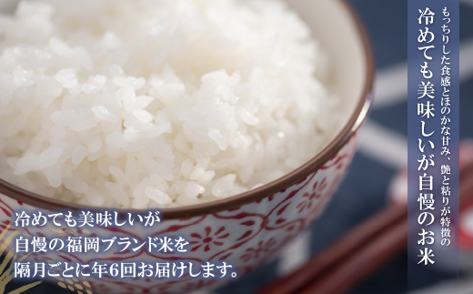 研ぐお米 福岡県産・元気つくし10kg定期便(隔月・年6回)