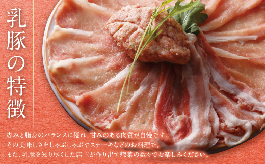 乳豚 しゃぶしゃぶ鍋Ｂセット(バラ・モモ・つみれ)