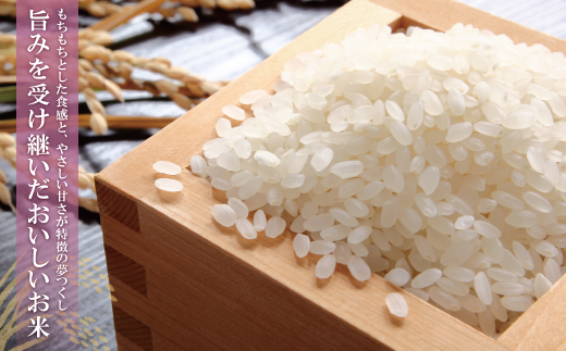 令和7年産 無洗米 福岡県産・夢つくし5kg 無洗米 むせんまい 米 コメ 5kg キャンプ 研がなくていい TWR 5キロ 箱入り 手間なし カンタン 簡単 福岡 夢つくし ゆめつくし 手軽 リピート 日時指定 ギフト お中元 お歳暮 手にやさしい 時短 コスパ 福岡県限定銘柄 人気	