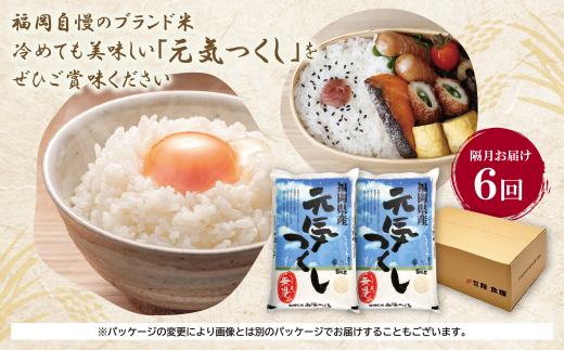 辟。豢礼アウ 遖丞イ。逵檎肇繝サ蜈豌励▽縺上@10kg螳壽悄萓ソ(髫疲怦繝サ蟷エ6蝗)