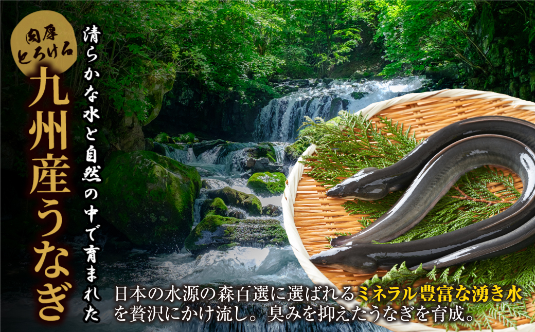 健やか鰻 国産うなぎ蒲焼（無頭）6尾（計930g以上）