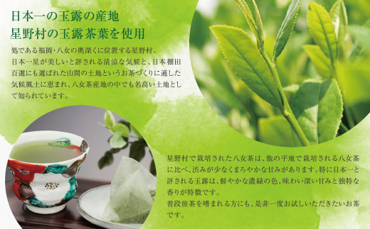 たっぷりお手軽!!八女星野 玉露ティーバッグ(100パック)
