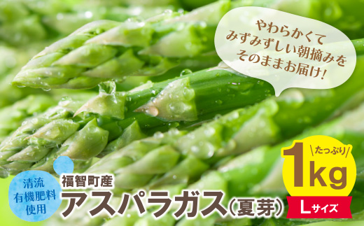 清流・自然栽培 アスパラガス(夏芽) 1kg(L)