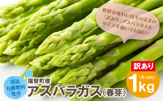 【訳あり】清流・自然栽培 アスパラガス(春芽) 1kg 