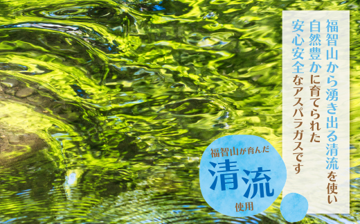 【訳あり】清流・自然栽培 アスパラガス(春芽) 1kg 