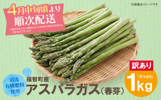 【訳あり】清流・自然栽培 アスパラガス(春芽) 1kg 