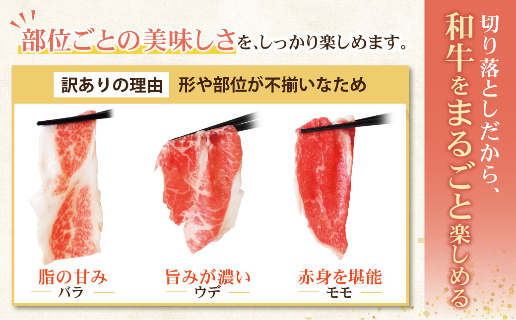 ãèš³ãããåå€åçãåãèœãšã1.2kg