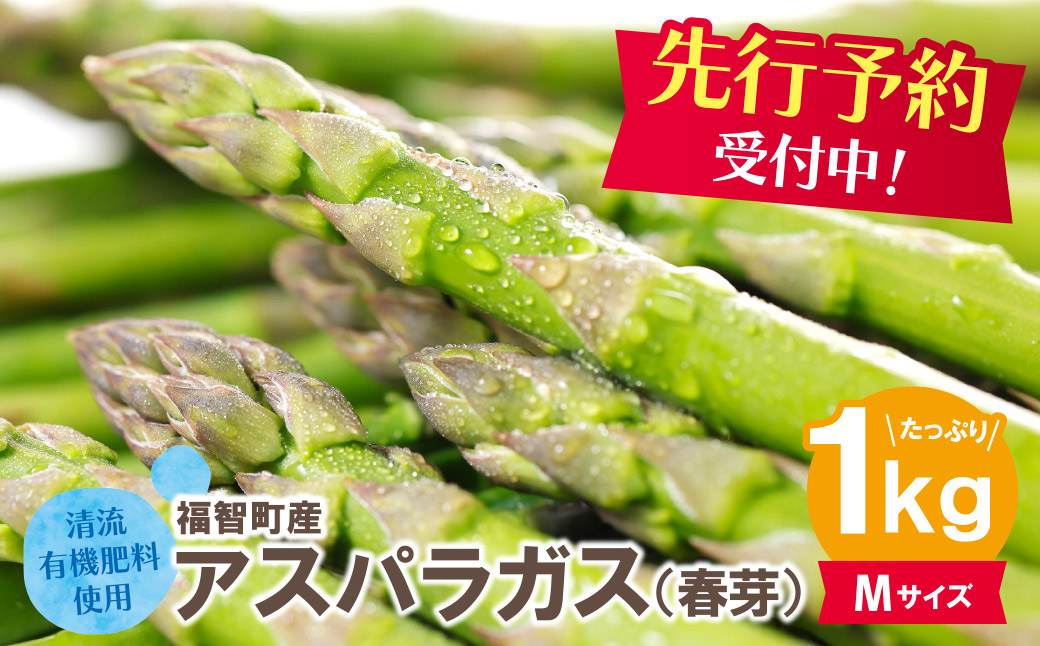 清流・自然栽培 アスパラガス(春芽) 1kg(M)