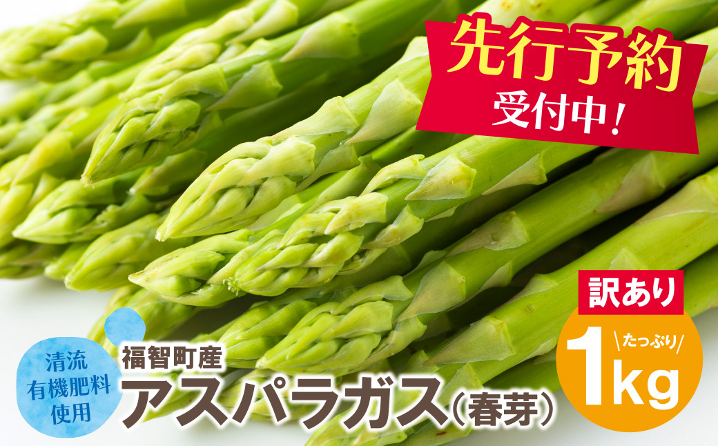 【訳あり】清流・自然栽培 アスパラガス(春芽) 1kg
