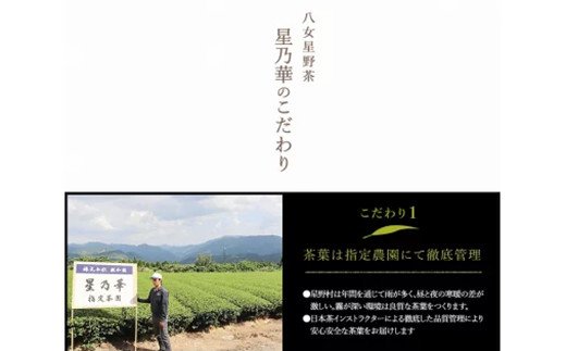 蜈ォ螂ウ譏滄 豺ア闥ク縺苓幻(6譛ャ隧ー繧)