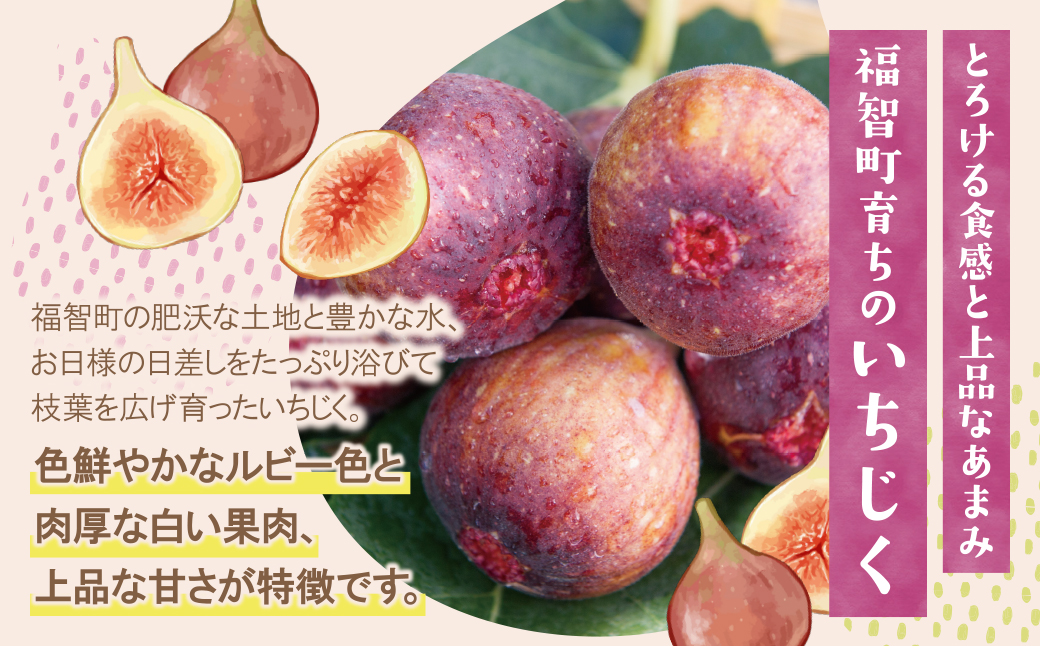 â
å
è¡äºçŽåä»éå§â
ãµããµãæå®å®æäŸ¿ïŒéæã»å¹Ž2åïŒ 2026幎çºé ãã¡ãã ã€ããžã¯ ãšãã¿ã€ã²ã ãã æ¡ ã¢ã¢ ããã²ã ãã«ãŒã æç© å®æäŸ¿ çŠå²¡çç£ çŠæºçºç£ éæç¡æ