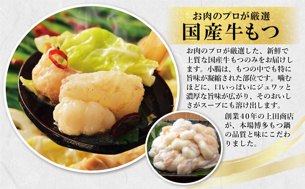 上田商店 博多もつ鍋セット(白味噌味 3人前)