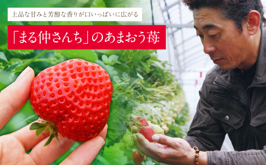 あまおう 苺 （4パック) 合計1,120g アルギット農業 イチゴ いちご あまおう苺 自然農法 フルーツ 果物 福岡県産 福智町産 送料無料