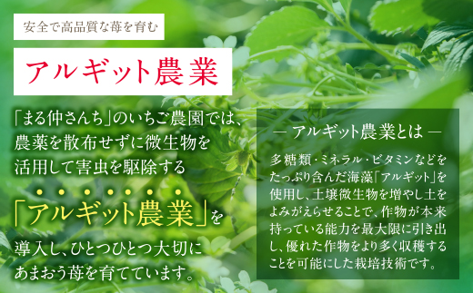 あまおう 苺 （4パック) 合計1,120g アルギット農業 イチゴ いちご あまおう苺 自然農法 フルーツ 果物 福岡県産 福智町産 送料無料