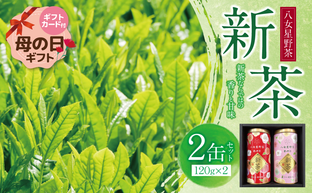 【母の日】新茶 八女星野茶 120g×2本