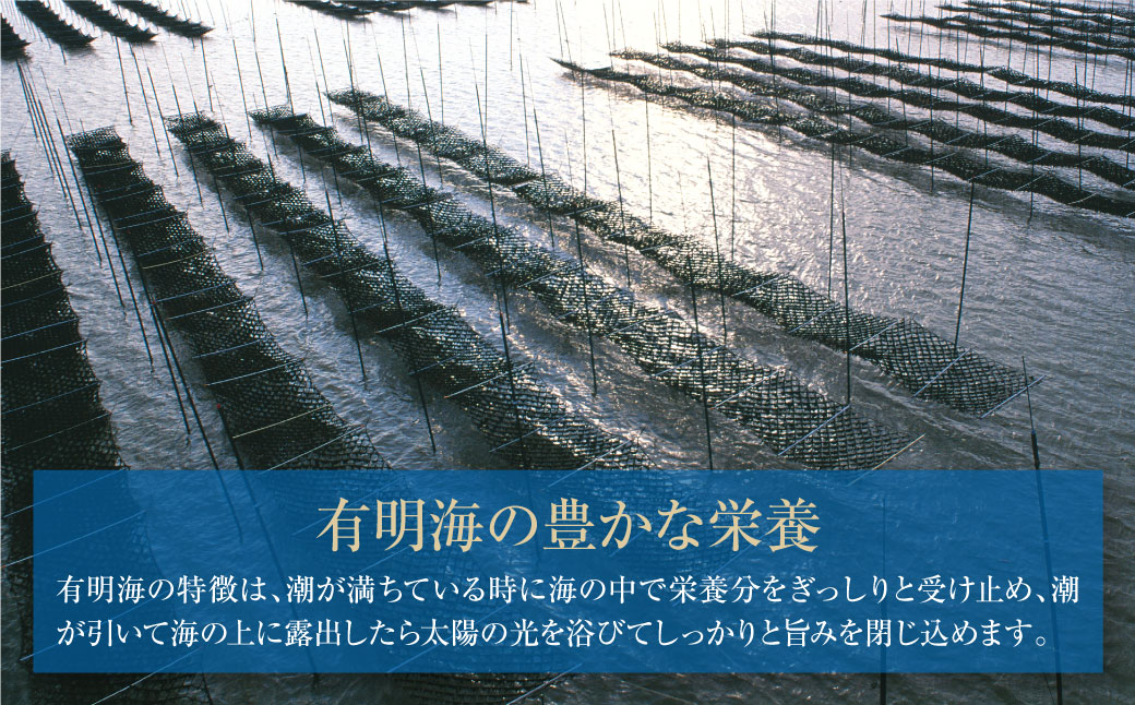 有明海産 焼き海苔 ボトル4本(10切100枚×4本 計400枚)定期便(毎月×6回)