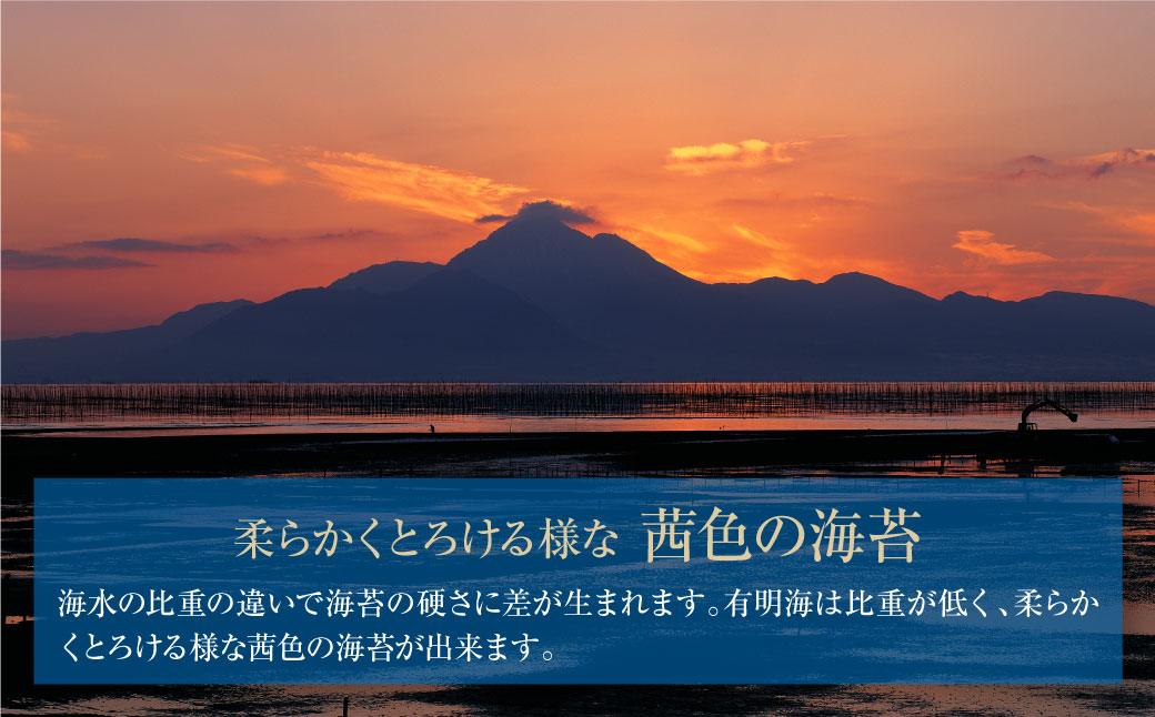 有明海産 焼き海苔 ボトル4本(10切100枚×4本 計400枚)定期便(毎月×6回)