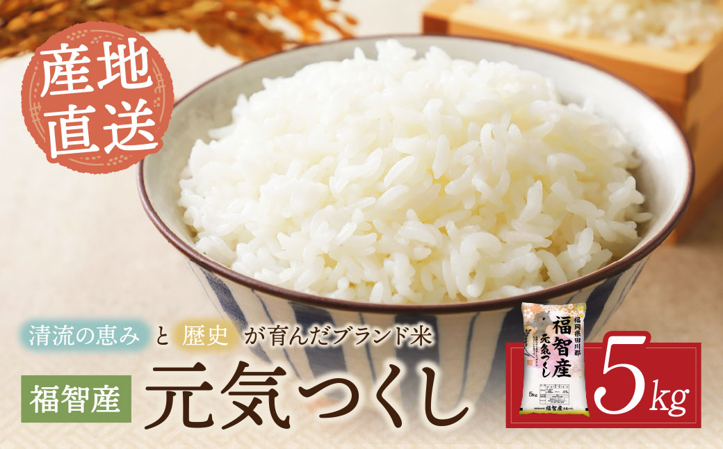 福智町産ブランド米(元気つくし 5kg) お米 米 こめ コメ ブランド米 白米 人気 おすすめ 元気つくし げんきつくし 福岡県産米 食料品 日常 福岡県