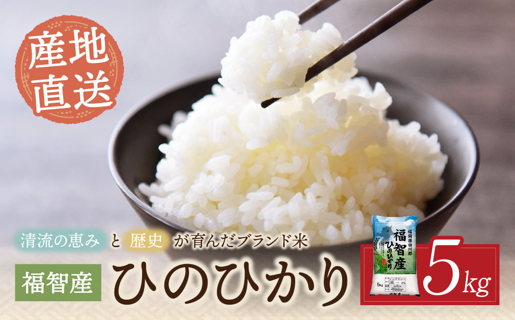 福智町産ブランド米(ヒノヒカリ 5kg)  お米 米 こめ コメ ブランド米 白米 人気 おすすめ ヒノヒカリ ひのひかり 福岡県産米 食料品 日常 福岡県