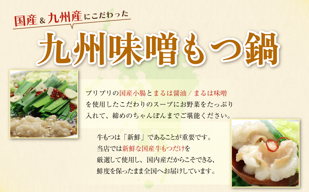 おどろきっちん 博多もつ鍋セット(九州味噌仕立て)国産牛もつ600g 4～6人前