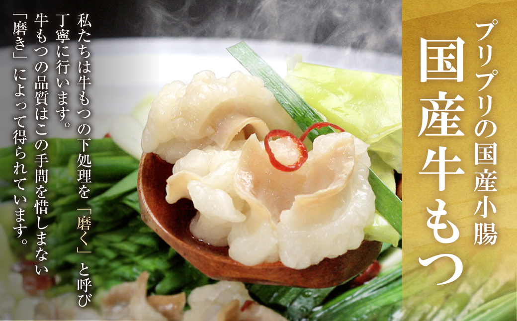 おどろきっちん 博多もつ鍋セット(九州味噌仕立て)国産牛もつ600g 4～6人前