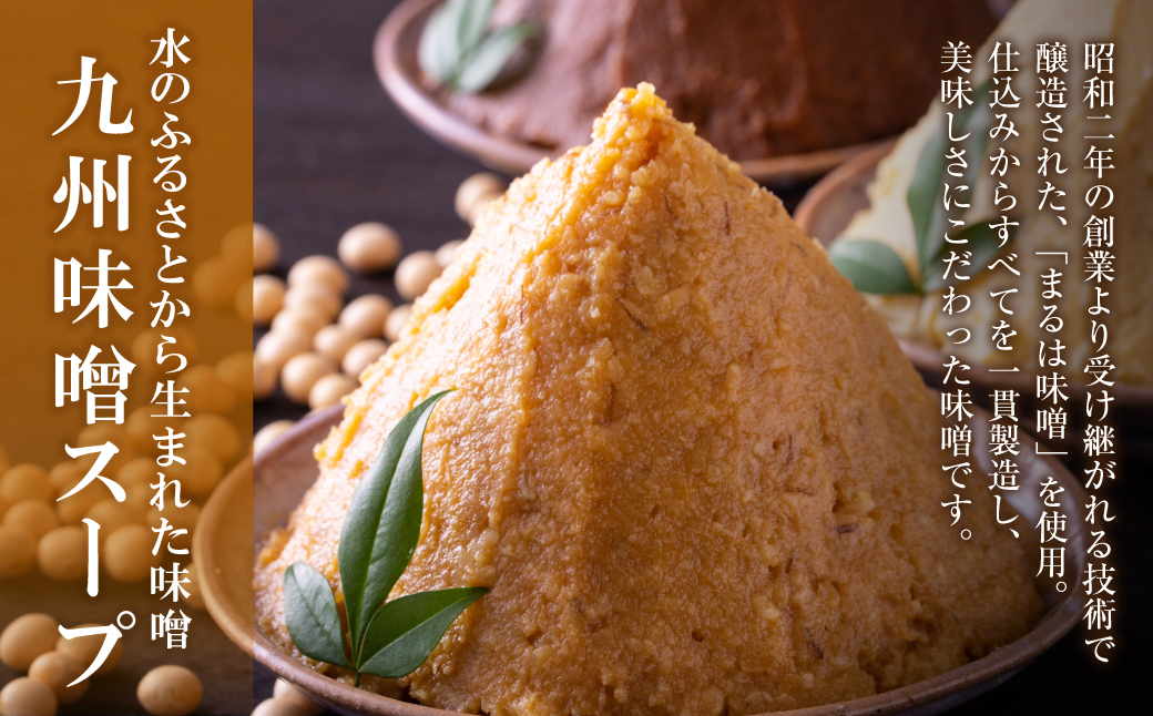 おどろきっちん 博多もつ鍋セット(九州味噌仕立て)国産牛もつ600g 4～6人前