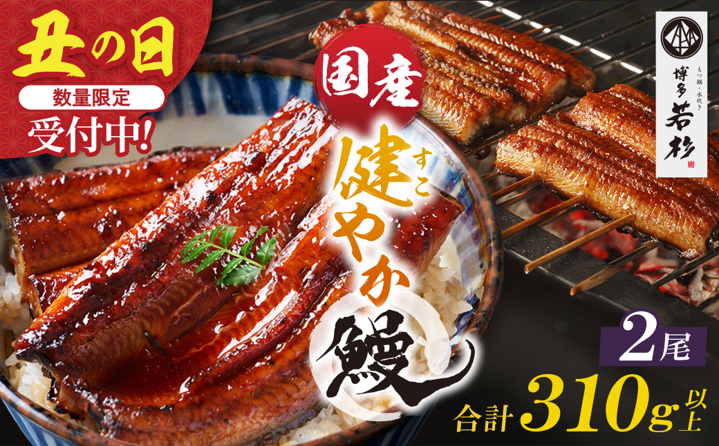 【2026年 丑の日 先行予約】健やか鰻 国産うなぎ蒲焼（無頭）2尾（計310g以上）