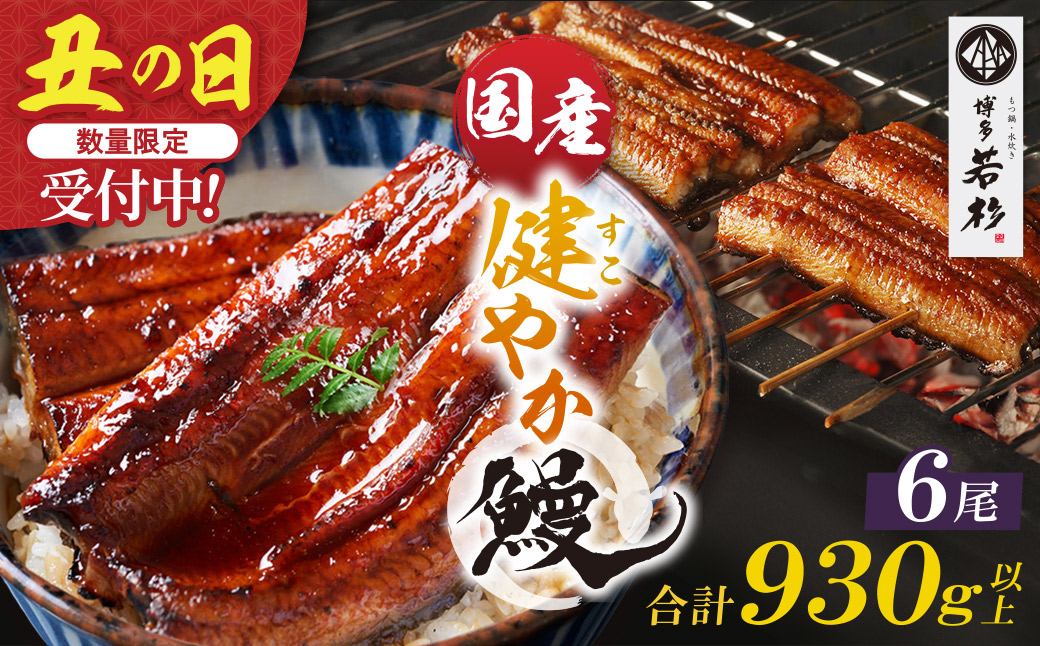 健やか鰻 国産うなぎ蒲焼（無頭）6尾（計930g以上）
