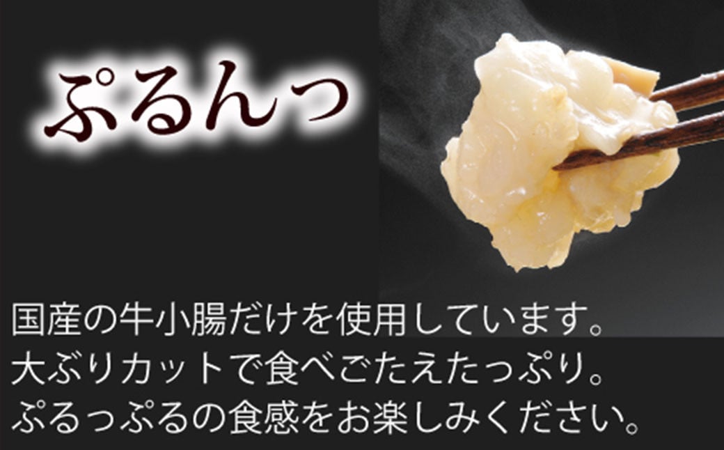 【本場博多のもつ鍋をご家庭で】博多もつ鍋やまや もつ鍋セット こく味噌味（3-4人前）もつ鍋 モツ鍋 セット 冷凍